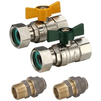 Swivel Nut Ball Valve Kit (FI End)W-20MI X 20Fl Lead Free