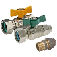 Swivel Nut Ball Valve Kit (FI End) W-20MI X 20FL Union Lead Free