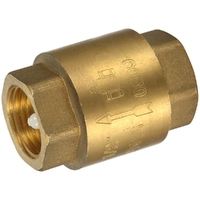 Spring Check Valve Brass 65MM