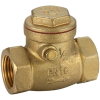 Swing Check Valve Brass 15MM
