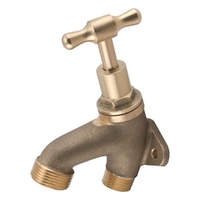 15MI Back Plated Hose Tap T Handle Rough Brass 
