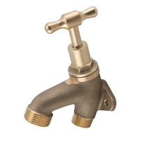 Hose Tap Back Plated T Handle Rough Brass MI 20mm