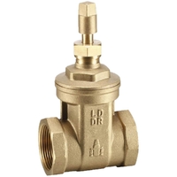 Watermarked Gate Valve With Key Cap Brass 50MM