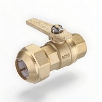 WMK Ball Valve BR 20FI X 25PE LF