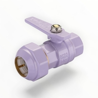 Watermarked Ball Valve Brass 20FI X 25PE Lilac