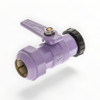 Watermarked Ball Valve Brass 20FI X 25PE Lilac With Plug