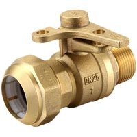 Watermarked Ball Valve Brass 20MI X 25PE Lockable WPE2025ML