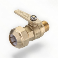 WMK Ball Valve BR 20MI X 25PE LF
