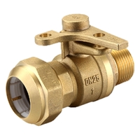 Watermarked Ball Valve Brass 20MI X 25PE Lockable