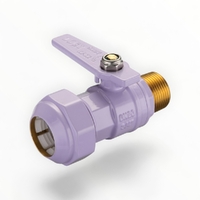 Watermarked Ball Valve Brass 20MI X 25PE Lilac