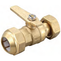 Watermarked Ball Valve Brass 20 Swivel Nut X 25PE WPE2025SM