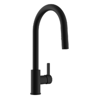 Zenith Vertical Pull Out Gooseneck Sink Mixer- 5 Star - Matt Black (Lf)