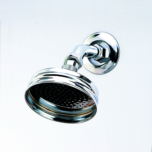 80mm BALL JOINT SHOWER ROSE ONLY WELS 3 STAR