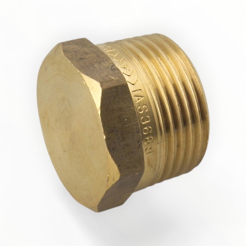 Hexagon Plug BR 50MM LF