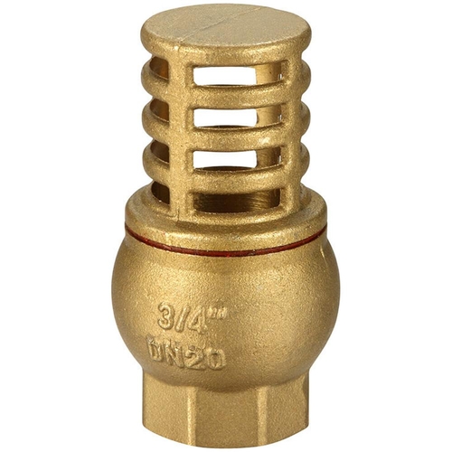 Foot Valve Brass 40MM