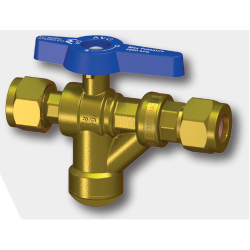 20mm Non-Return Isolation Valve with Filter  AVG